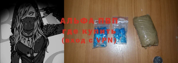 стафф Алзамай