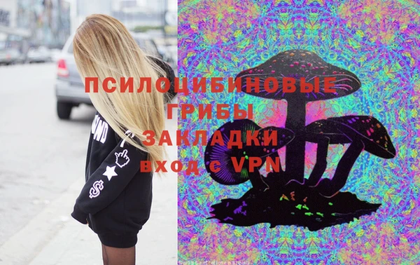 стафф Алзамай