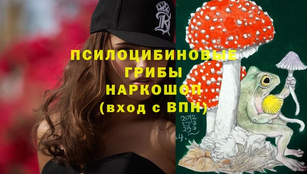 тгк Алексин