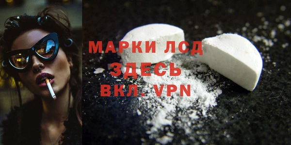 стафф Алзамай
